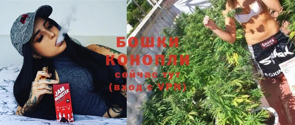 молекула духа Зеленодольск