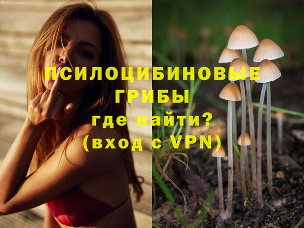 каннабис Заводоуковск