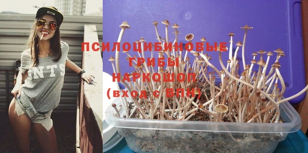 молекула духа Зеленодольск