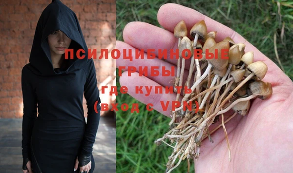 стаф Заволжск
